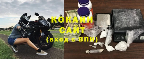 прущие грибы Абинск